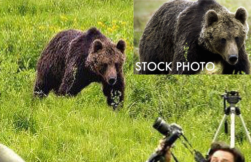 Illustration for article titled 76 Viral Images From 2015 That Were Totally Fake